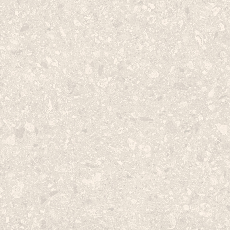 MANTIS LUNAR - HAC 240.152 - Face 1