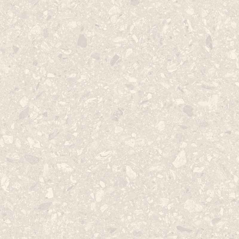 MANTIS LUNAR - HAC 240.152 - Face 2