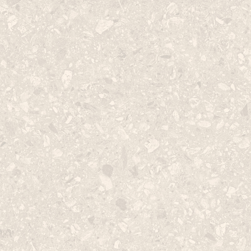 MANTIS LUNAR - HAC 240.152 - Face 3