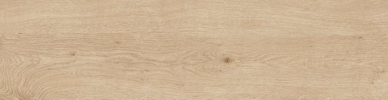 TECA CANELA - HAC 300.034 - Face 6