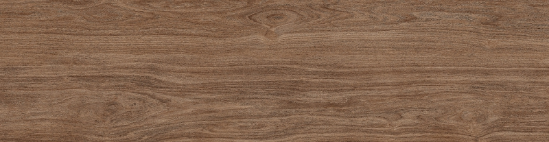 RAVENA AVELÃ - HNT 300.199 - Face 4