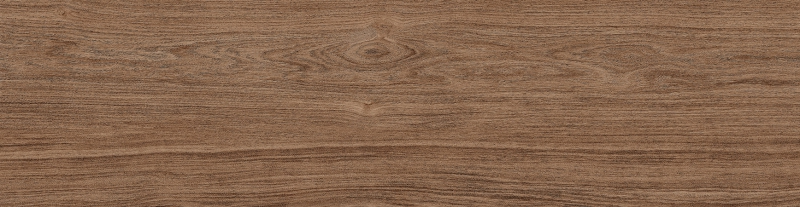 RAVENA AVELÃ - HNT 300.199 - Face 7