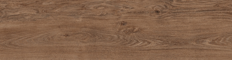 RAVENA AVELÃ - HNT 300.199 - Face 8